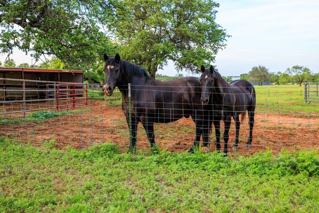 3724 Ranch Road 3347, Round Mountain, TX 78663