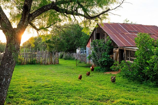 3724 Ranch Road 3347, Round Mountain, TX 78663