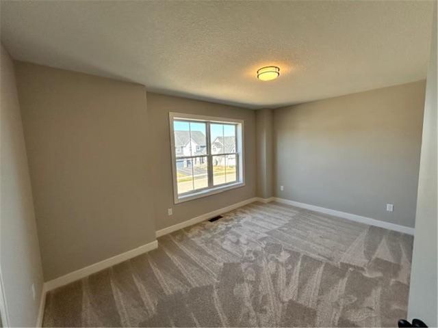 4097 Arbor Drive, Woodbury, MN 55129