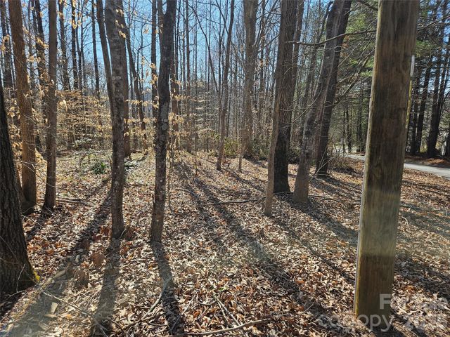 0 General Griffith Circle 37, Rutherfordton, NC 28139