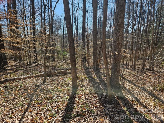 0 General Griffith Circle 37, Rutherfordton, NC 28139