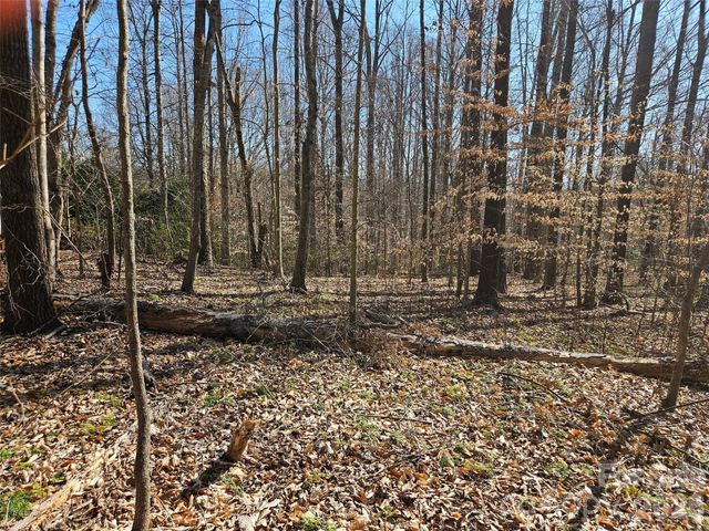 0 General Griffith Circle 37, Rutherfordton, NC 28139