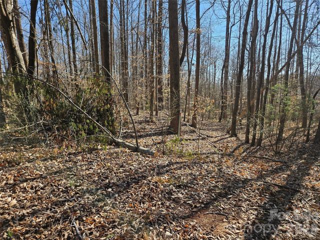 0 General Griffith Circle 37, Rutherfordton, NC 28139