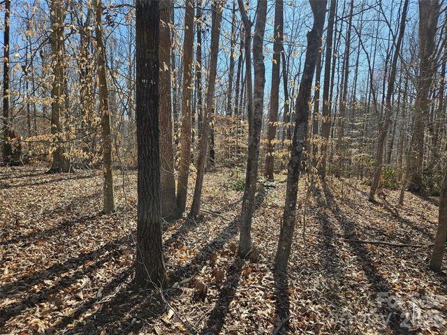 0 General Griffith Circle 37, Rutherfordton, NC 28139