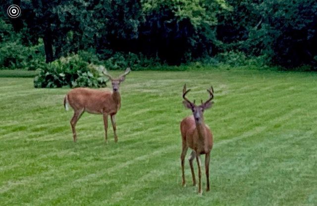 W2268 LEDGEVIEW ROAD, Green Lake, WI 54941