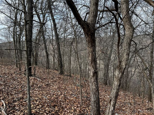 485, Salina, OK 74365