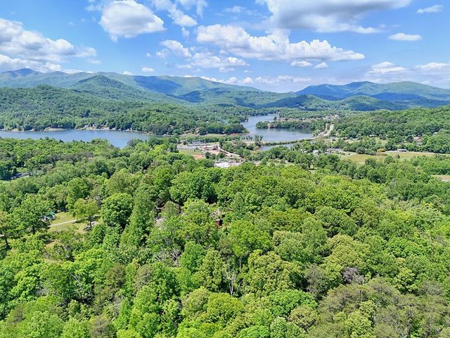 792 Bugscuffle Road, Hiawassee, GA 30546