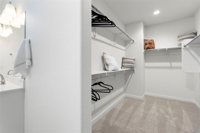 7921 Desert Wrangler Drive, Colorado Springs, CO 80908