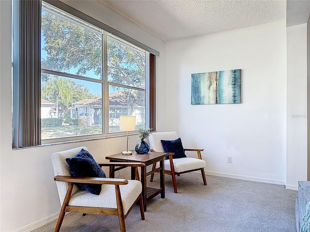 1015 RADISON LAKE COURT 65, Sun City Center, FL 33573