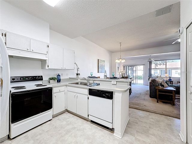 1015 RADISON LAKE COURT 65, Sun City Center, FL 33573