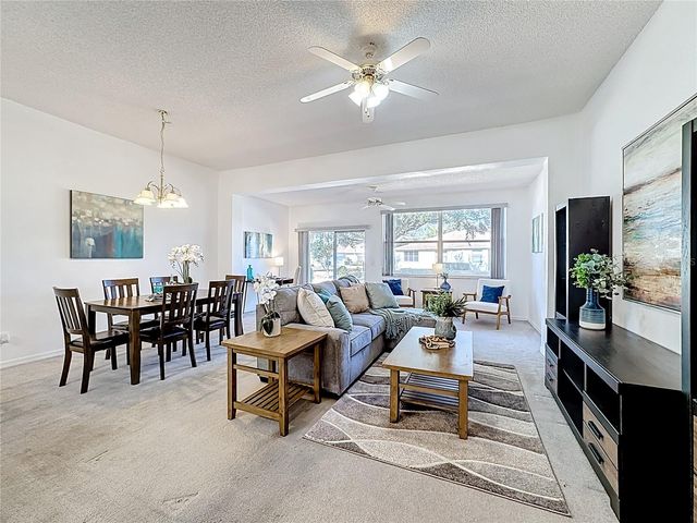 1015 RADISON LAKE COURT 65, Sun City Center, FL 33573