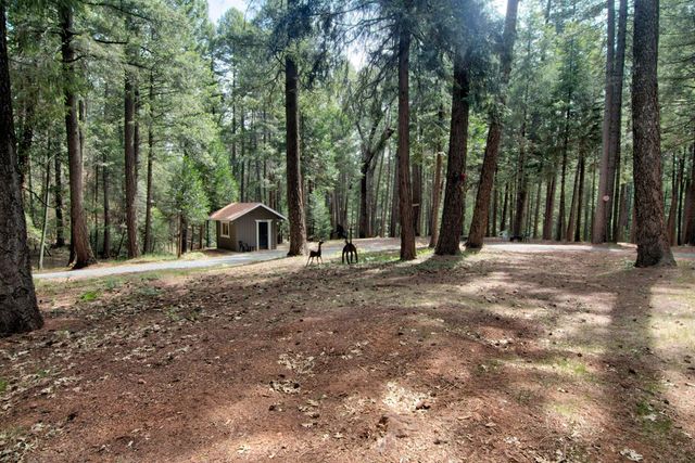 332 Coyote ct, Georgetown, CA 95634