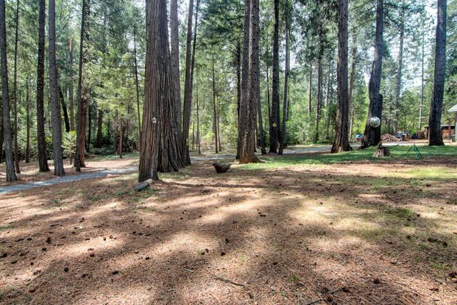 332 Coyote ct, Georgetown, CA 95634