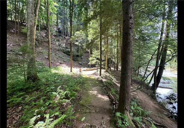 349 Whitewater Trail, Dahlonega, GA 30533