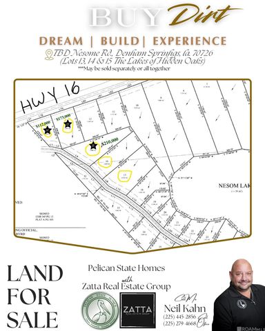 Lot 15 Nesom Rd, Denham Springs, LA 70706