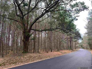 Lot 15 Nesom Rd, Denham Springs, LA 70706