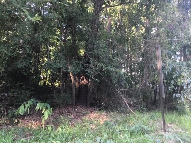 000 Water Tower, Onalaska, TX 77360