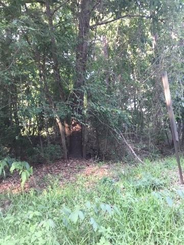 000 Water Tower, Onalaska, TX 77360