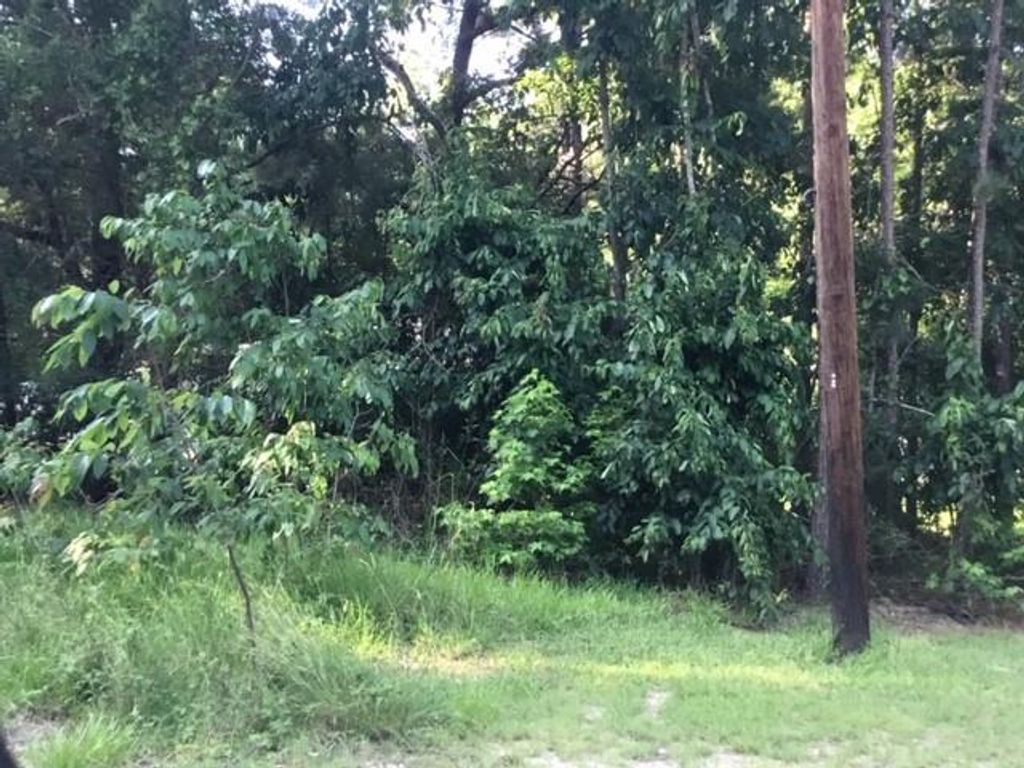 000 Water Tower, Onalaska, TX 77360