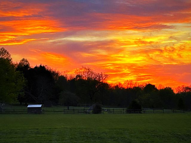 997 Bear Carr Rd, Westmoreland, TN 37186