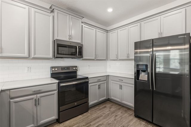 12313 TURTLE GRASS DRIVE, Orlando, FL 32824
