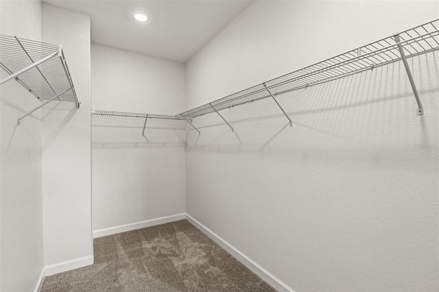 12313 TURTLE GRASS DRIVE, Orlando, FL 32824