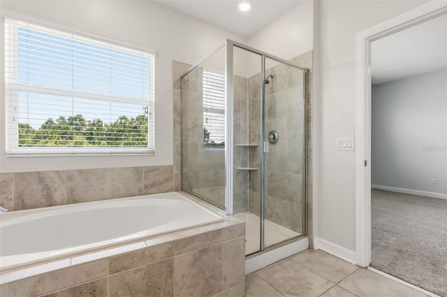 12313 TURTLE GRASS DRIVE, Orlando, FL 32824