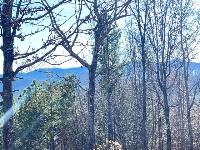 Lot 9 Summit Trace, Blairsville, GA 30512