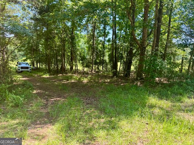 0 Kendall Road, Yatesville, GA 31097
