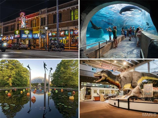 6325 Clayton Road, Clayton, MO 63117