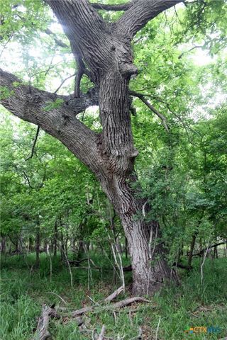 00 Brushy Branch Road, Lockhart, TX 78644