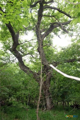 00 Brushy Branch Road, Lockhart, TX 78644