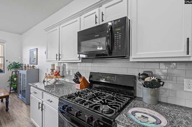 271 Bickley View Court, Chapin, SC 29036