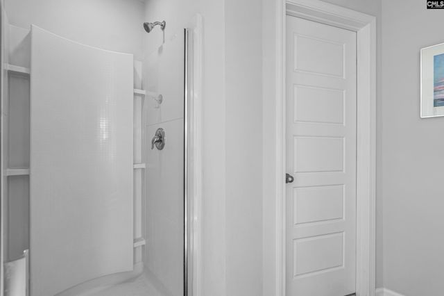 271 Bickley View Court, Chapin, SC 29036