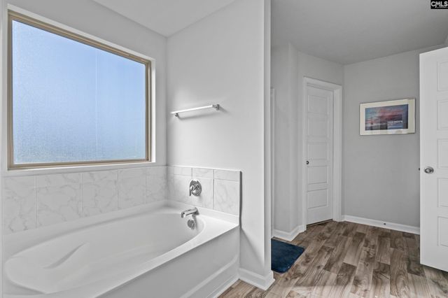 271 Bickley View Court, Chapin, SC 29036