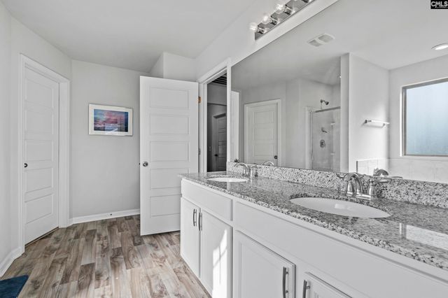 271 Bickley View Court, Chapin, SC 29036