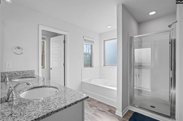 271 Bickley View Court, Chapin, SC 29036