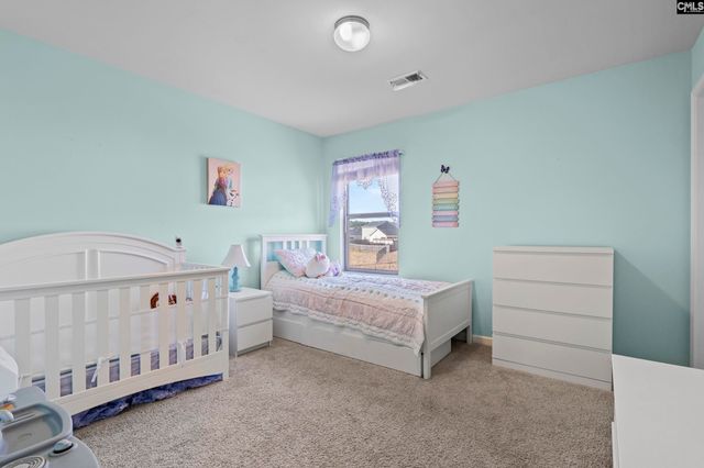 271 Bickley View Court, Chapin, SC 29036