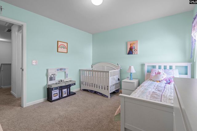 271 Bickley View Court, Chapin, SC 29036