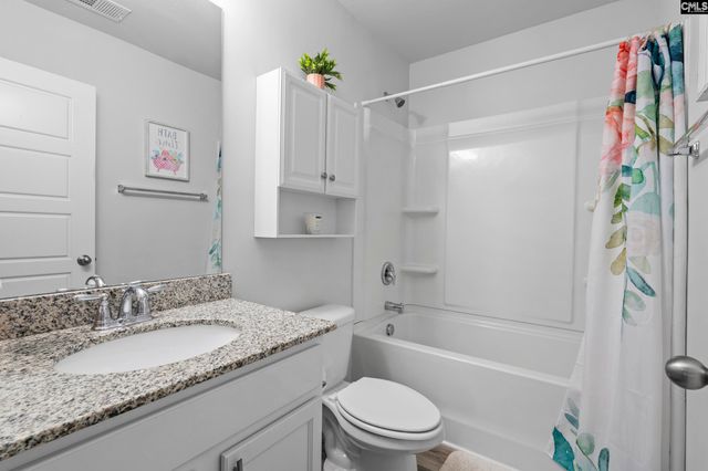 271 Bickley View Court, Chapin, SC 29036