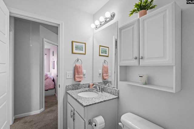 271 Bickley View Court, Chapin, SC 29036