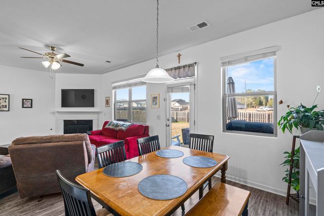 271 Bickley View Court, Chapin, SC 29036