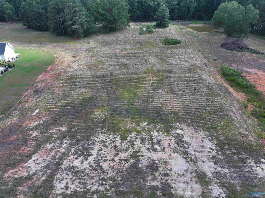 Lot 2 Wauchula Pvt. Drive, Athens, AL 35611