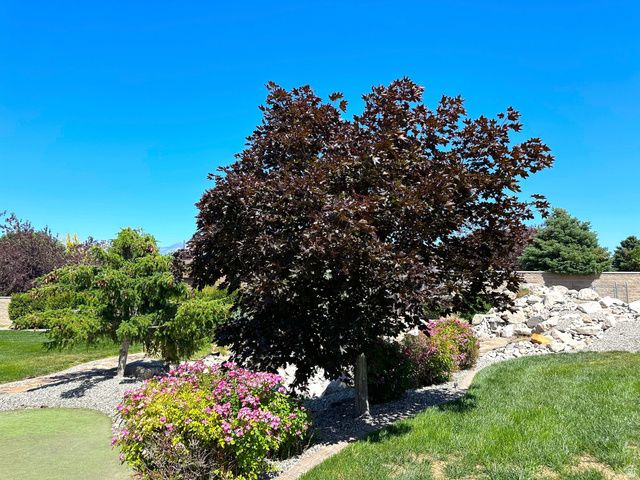 15117 S 2700 W, Bluffdale, UT 84065