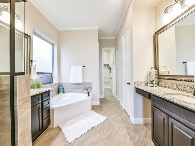 21918 Avalon Queen Drive, Spring, TX 77379