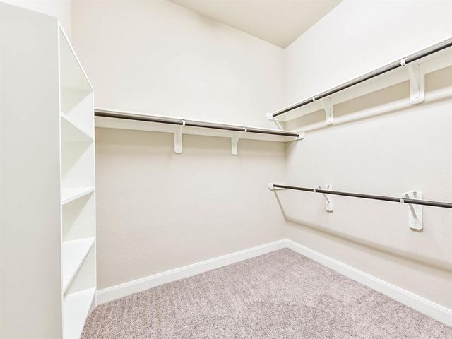 21918 Avalon Queen Drive, Spring, TX 77379