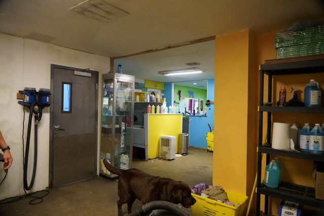 367 NE 3rd Ave, Delray Beach, FL 33444