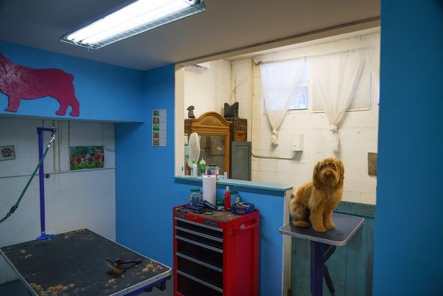 367 NE 3rd Ave, Delray Beach, FL 33444