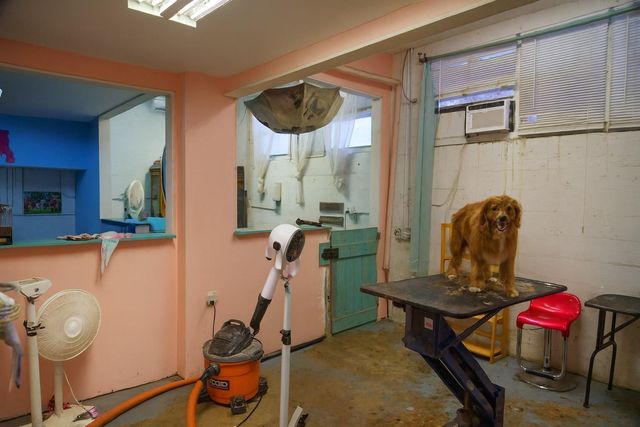 367 NE 3rd Ave, Delray Beach, FL 33444