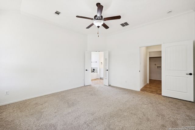 3213 Pencil Cholla, Schertz, TX 78154